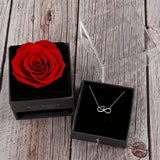 Sister Infinity Heart Necklace & Preserved Rose Gift Set